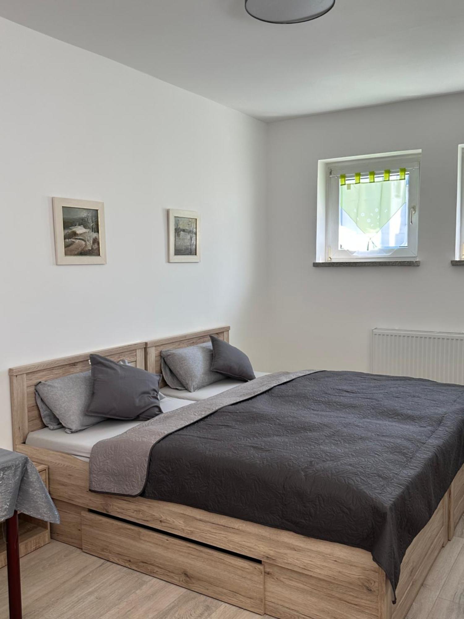 Oelsnitz  Ein Zimmer Wohnung Am Markt מראה חיצוני תמונה